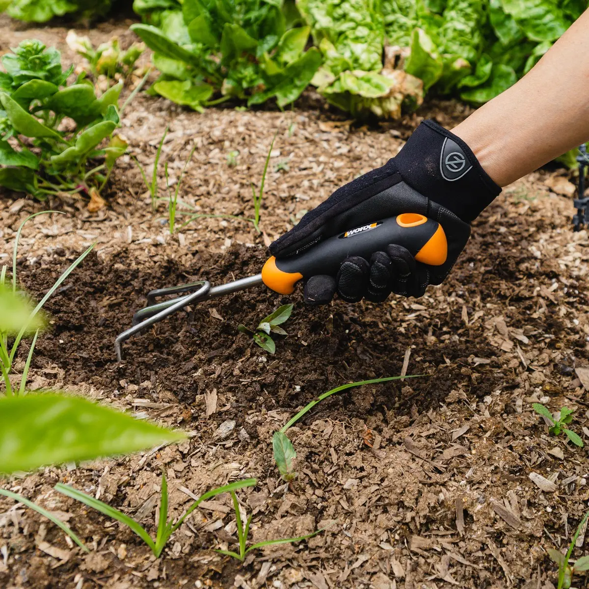 3-Tine Hand Garden Cultivator (WG003) | WORX