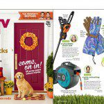 HGTV Managine Pole Saw Review