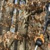 WORX Jawsaw cutting a tree branch