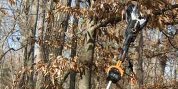 WORX Jawsaw cutting a tree branch