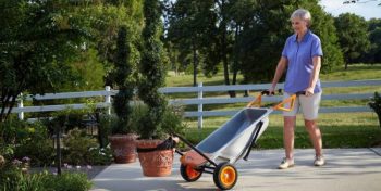 WORX Aerocart