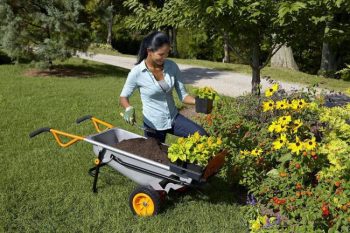 WORX Aerocart