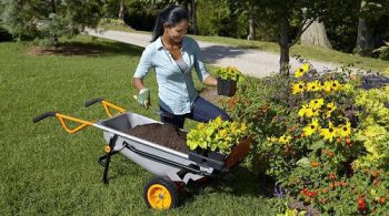 WORX Aerocart in the garden