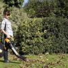 How to Identify Plant Pests and Diseases 2
