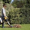 How to Identify Plant Pests and Diseases 3