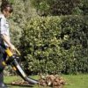 WORX Trivac mulching dead leaves