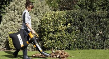 WORX Trivac mulching dead leaves