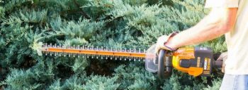 WORX hedge trimmer