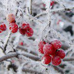 10 Tips for Winter Landscapes