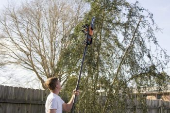 The WORX pole saw in action