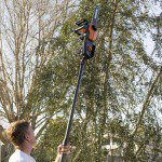 Prune Shrubs and Trees Now for a Carefree Summer 1