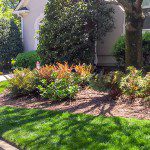 A Detailed Landscape Design