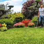 designing your landscape