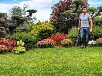 designing your landscape