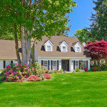Front Yard landscaping
