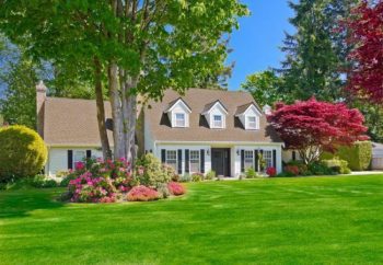 Front Yard landscaping