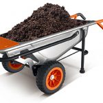 WORX Aerocart