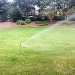 Irrigation Spray Heads