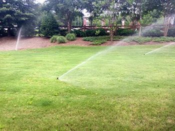 Irrigation Spray Heads