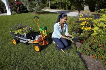 Creating A Baseline Garden Bed