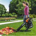 Remove Fallen Leaves