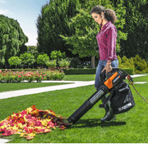 Remove Fallen Leaves