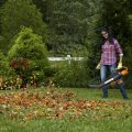 Blowing Leaves with Worx TRIVAC