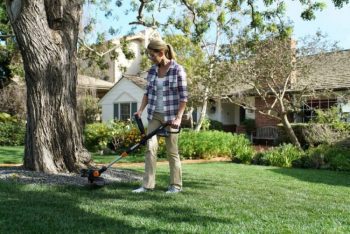 Lawn mower 2025 and weed eater