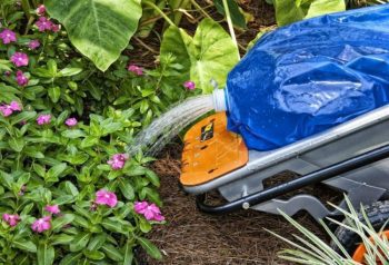 WORX Aerocart Water Bag Watering Flowers