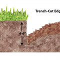 Trenched Egde_Illustration