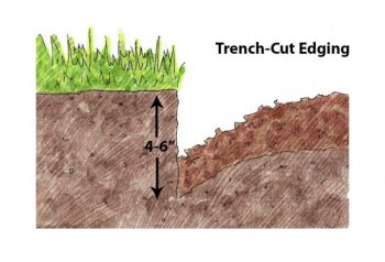 Trenched Egde_Illustration