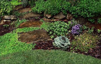 trenched edge mulch bed with flowers from green grass