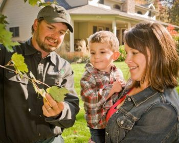 women holding young child standing next to man who are all looking a leaf from tree