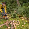 Worx_WG322_Chainsaw_ManCuttingLogs