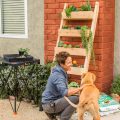 sitting in front of wooden plant holder with plants next to dog