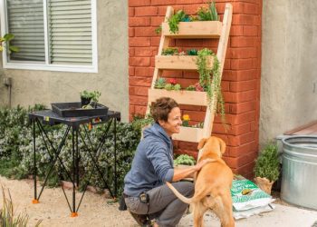 sitting in front of wooden plant holder with plants next to dog