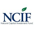 National capital investment fund