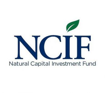 National capital investment fund