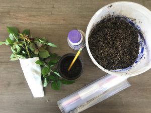 pot with dirty next to paint and pencil and flowers wrapped in tissue