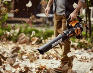 worx trivac blower blowing off leaves on patio