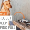 dog next to his water and food bowl - a project to keep fido full