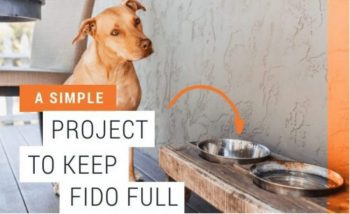 dog next to his water and food bowl - a project to keep fido full