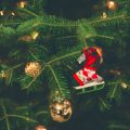 ornament hanging on tree