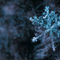 snowflake tree ornament