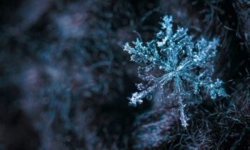 snowflake tree ornament