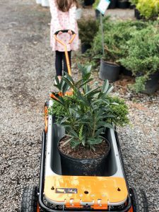 FreeGifts- Worx WG050 Aerocart 8-in-1 Wheelbarrow / Yard Cart / Dolly  ID32658 Worx Power Tools (Branded) Selangor, Malaysia, Kuala Lumpur (KL),  Seri Kembangan, Setapak, Kajang Supplier, Suppliers, Supply, Supplies