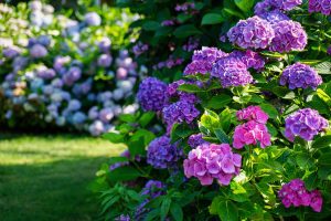 purple flowers on green plant in green grass