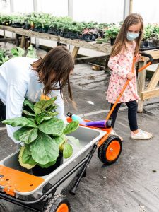 little girl and mom pulling aerocart wheelbarrow with plant in it