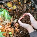 Hands Holding Compost Above The Composter With Organic Waste