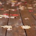 Fall Leaves On Deck (close Up - 2)